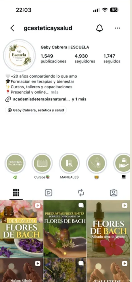 Perfil de Escuela Gaby Cabrera en Instagram hoy